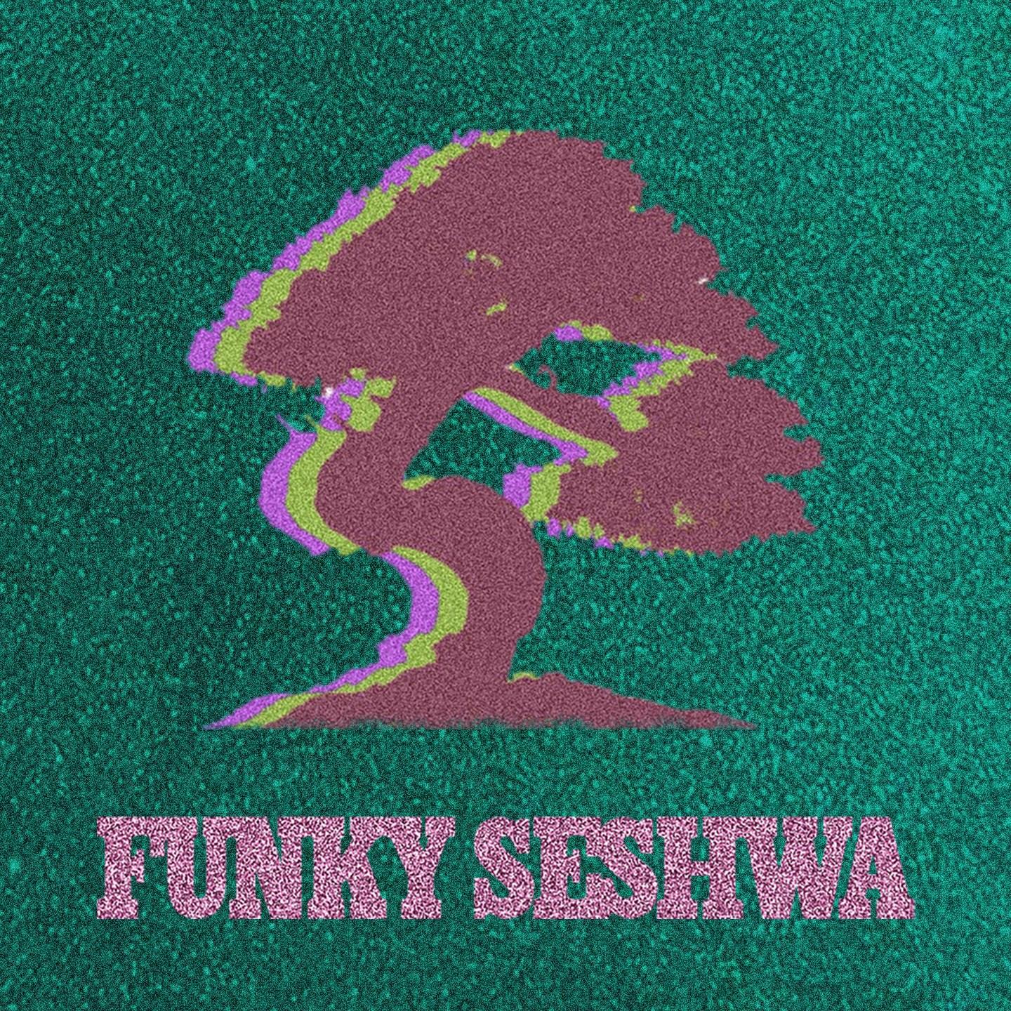 Funky Seshwa