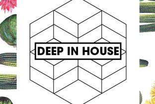 Deep In House