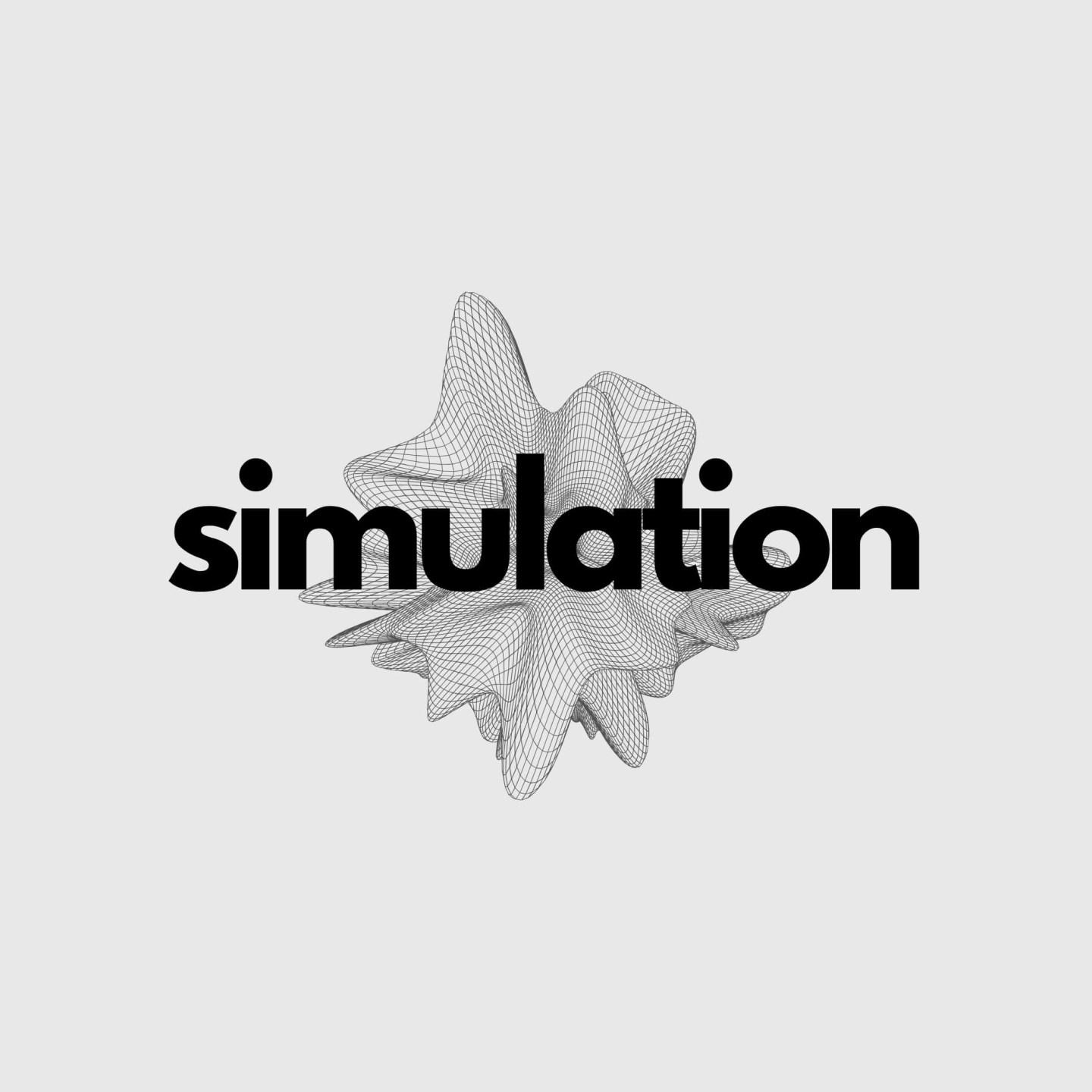 Simulation