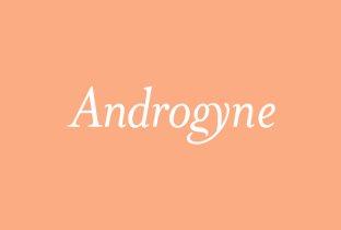 Androgyne