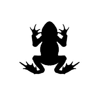 Amphibian