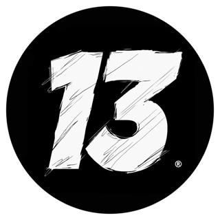 Dreizehn Schallplatten