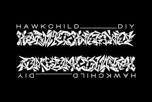 Hawkchild Diy