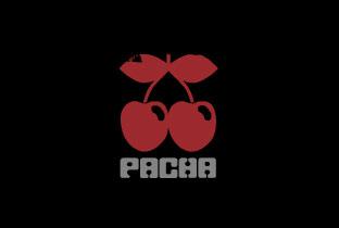 Pacha