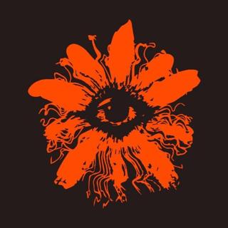 Pangea Collective