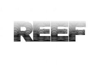 Reef