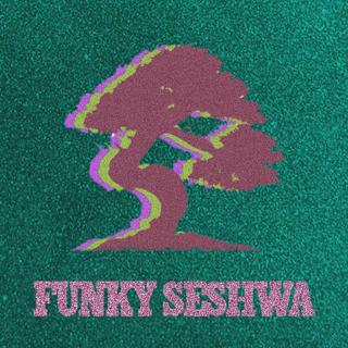 Funky Seshwa