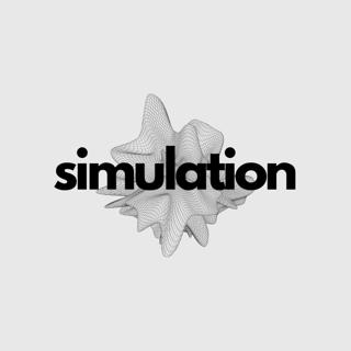 Simulation
