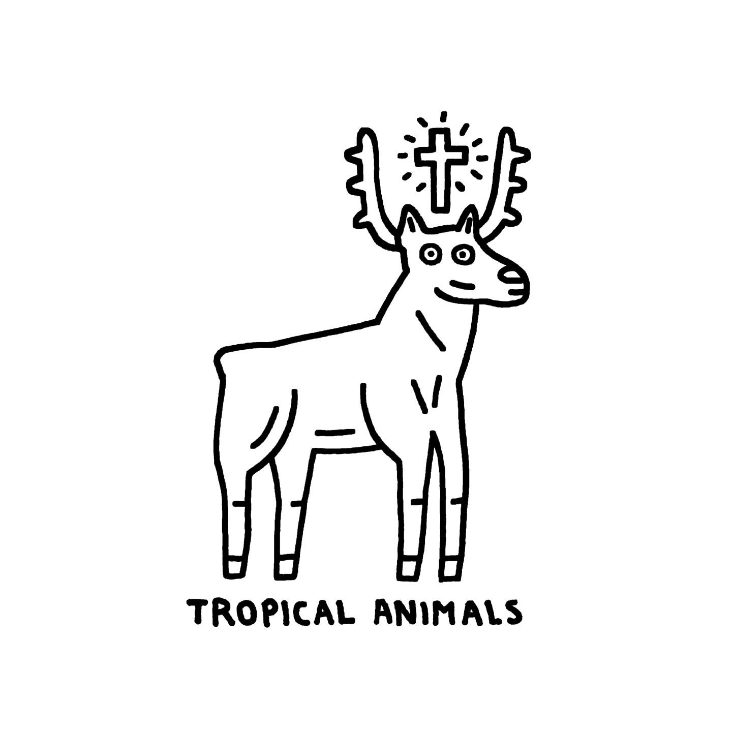 Tropical Animals