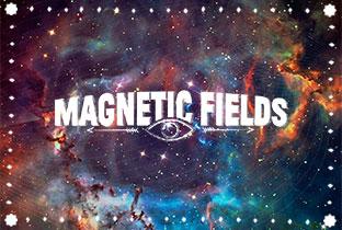 Magnetic Fields Festival