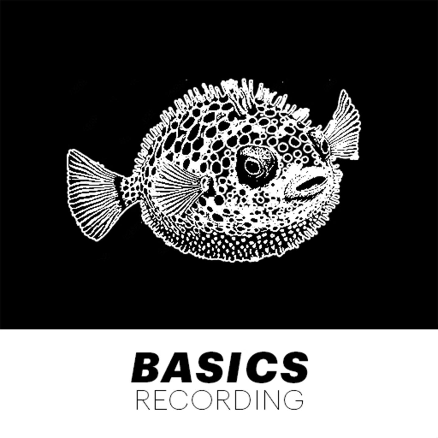 Basics Recording