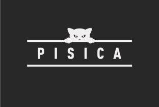 Pisica