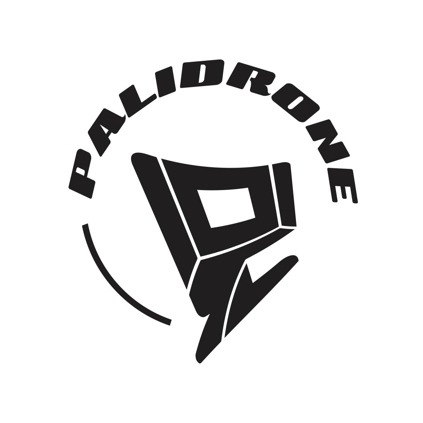 Palidrone