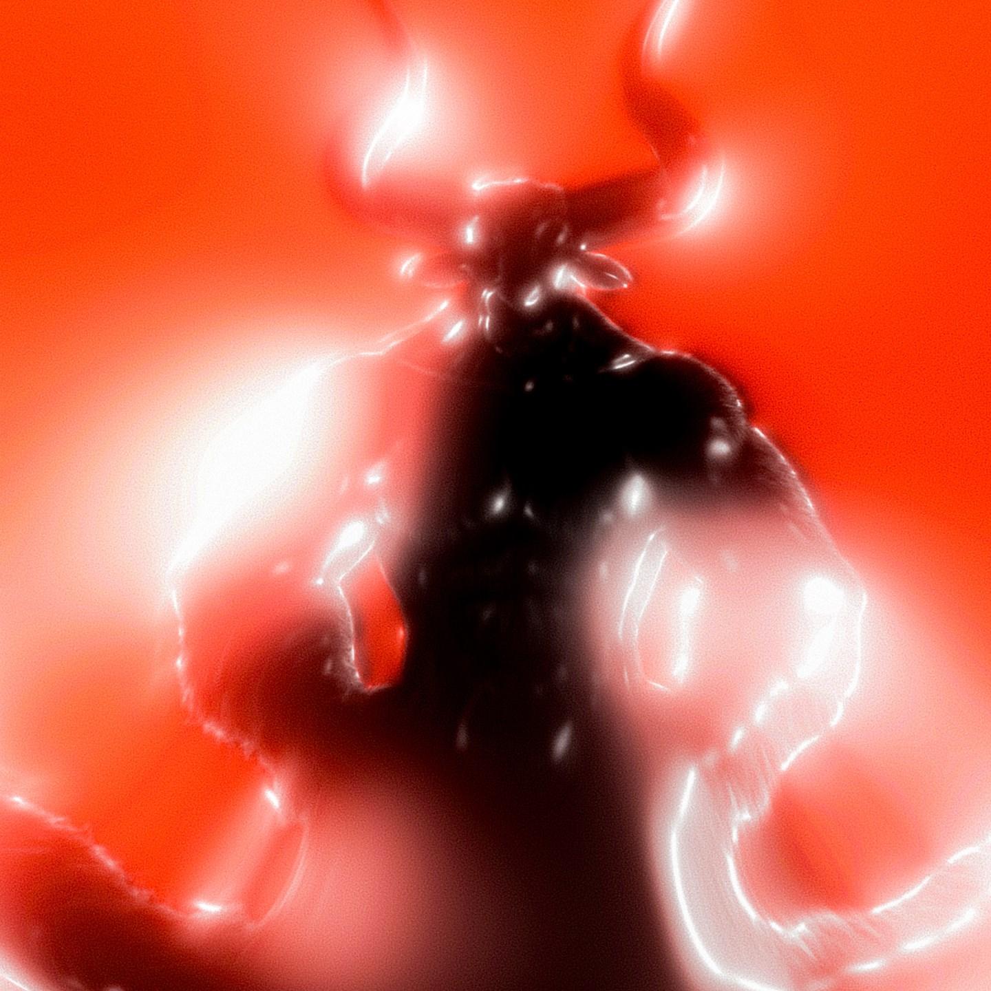 Toro