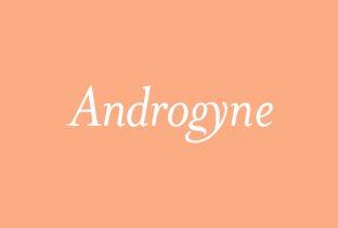 Androgyne