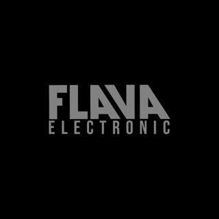 Flava-Electronic