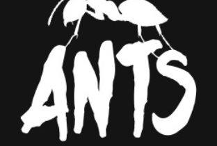 Ants