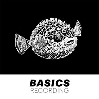 Basics Recording