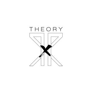 Theory X