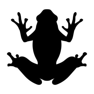 Madfrog