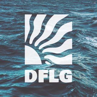 Dflg
