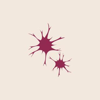 Synapsa