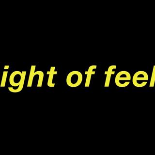 Night Of Feels