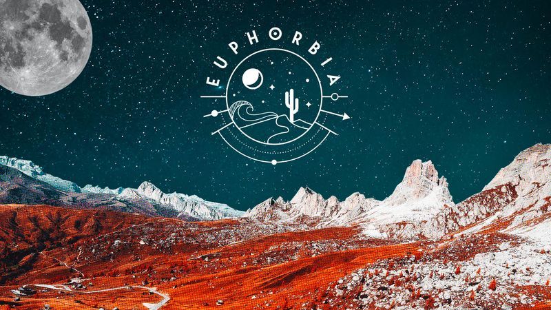 Euphorbia Open Air - Finca el sitio de Jaifa