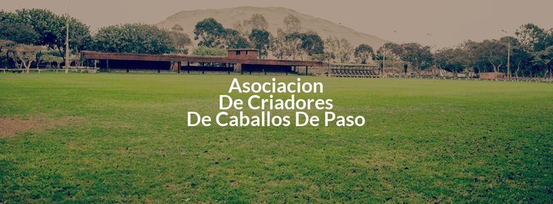 Asocaciacion de Criadores De Caballos de Paso