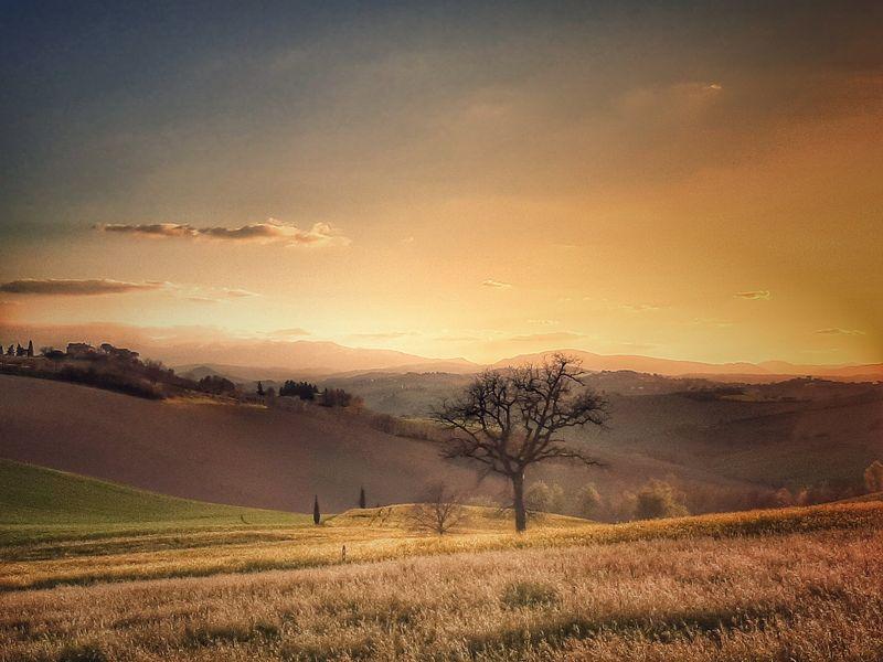 Boschetto Contrada Campiglia