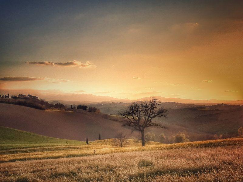 Boschetto Contrada Campiglia