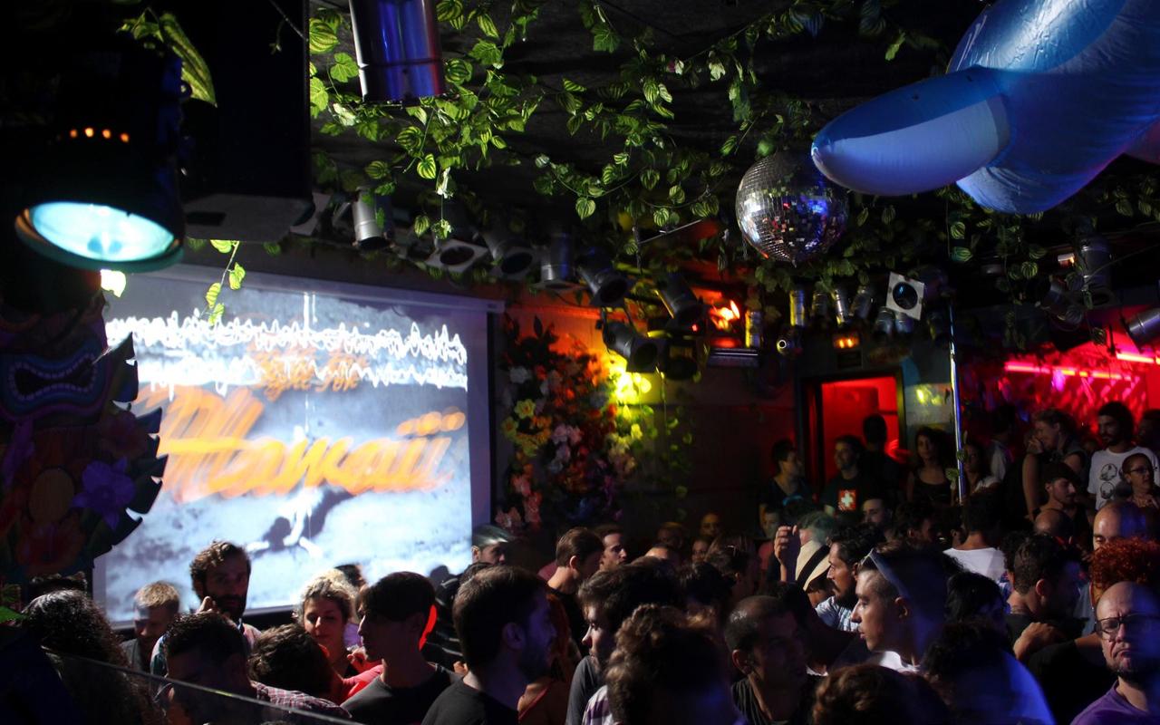 Moog Club
