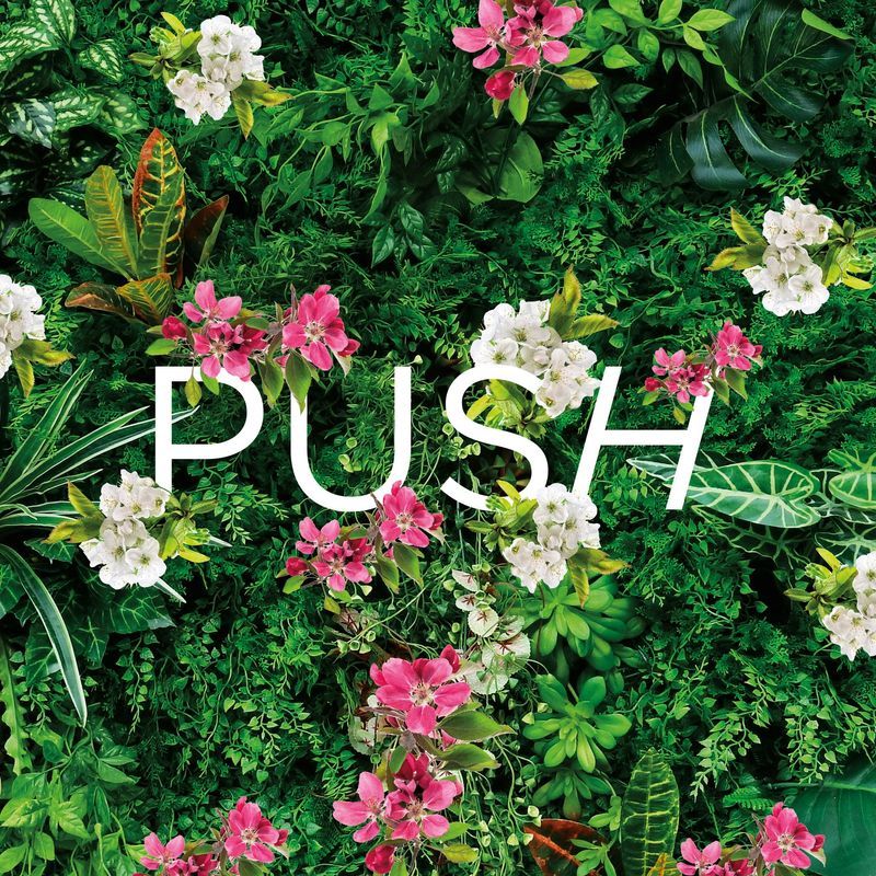 Push
