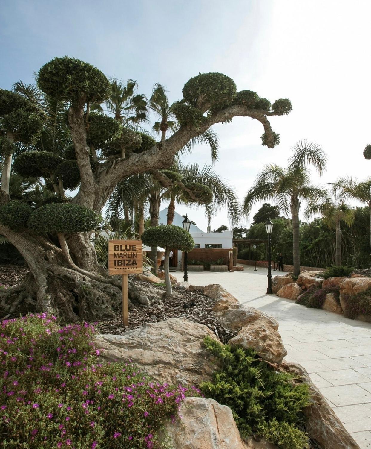 Blue Marlin Ibiza