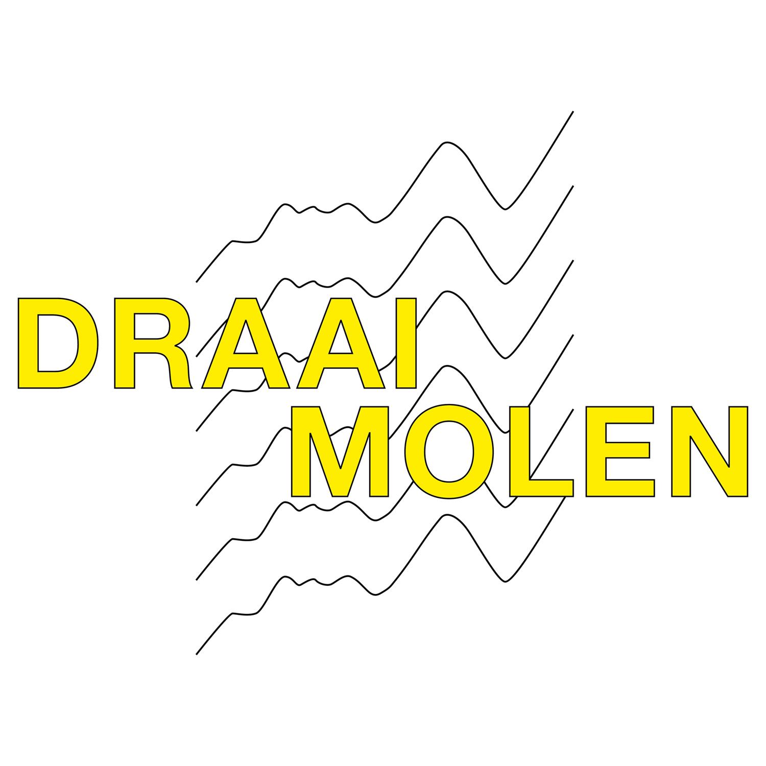 Draaimolen Festival