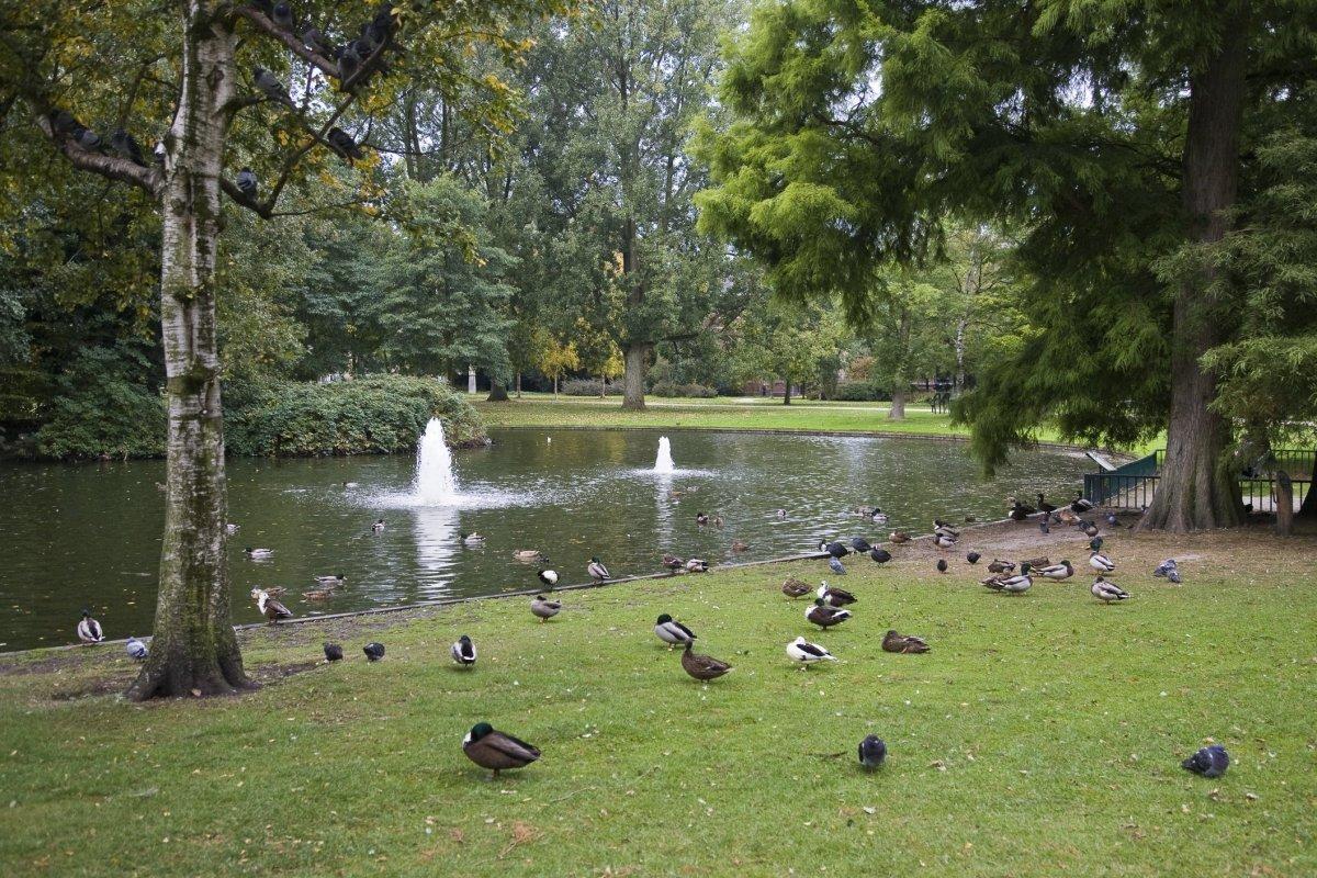 Westerpark Amsterdam