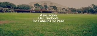 Asocaciacion  de Criadores De Caballos de Paso