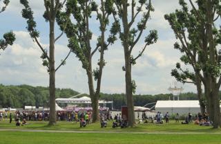 Amsterdamse Bos